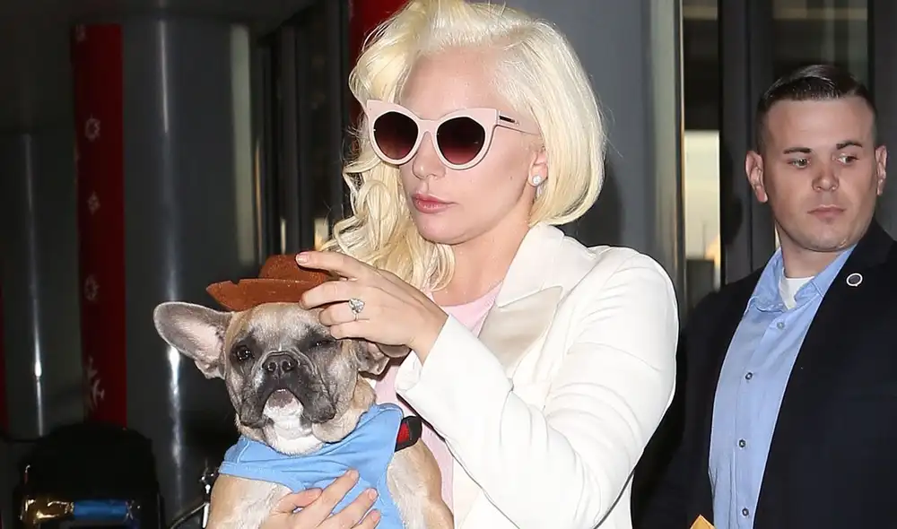 Lady Gaga sufrió un duro momento tras conocer del robo de dos de sus mascotas. Foto: TMZ