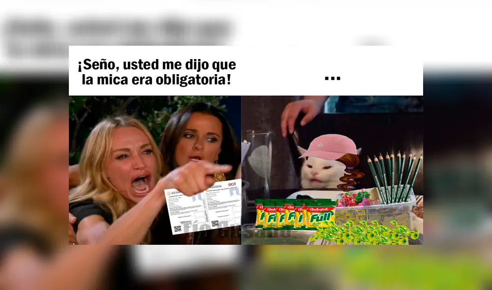 Desliza para ver los memes de la UNMSM. Foto: Captura. Desliza para ver los memes de la UNMSM. Foto: Captura.