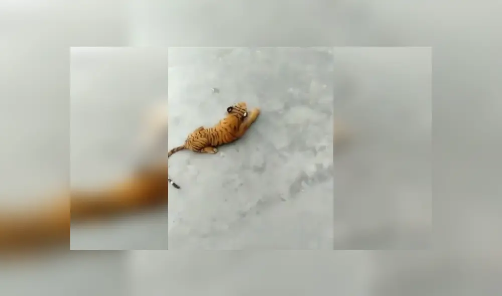 Desliza para ver los detalles del video viral publicado en YouTube. Foto: Captura.