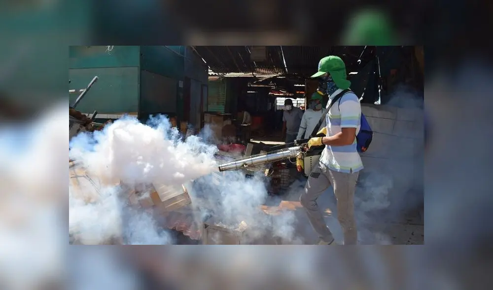 Piura en emergencia sanitaria por peligro de proliferación del dengue