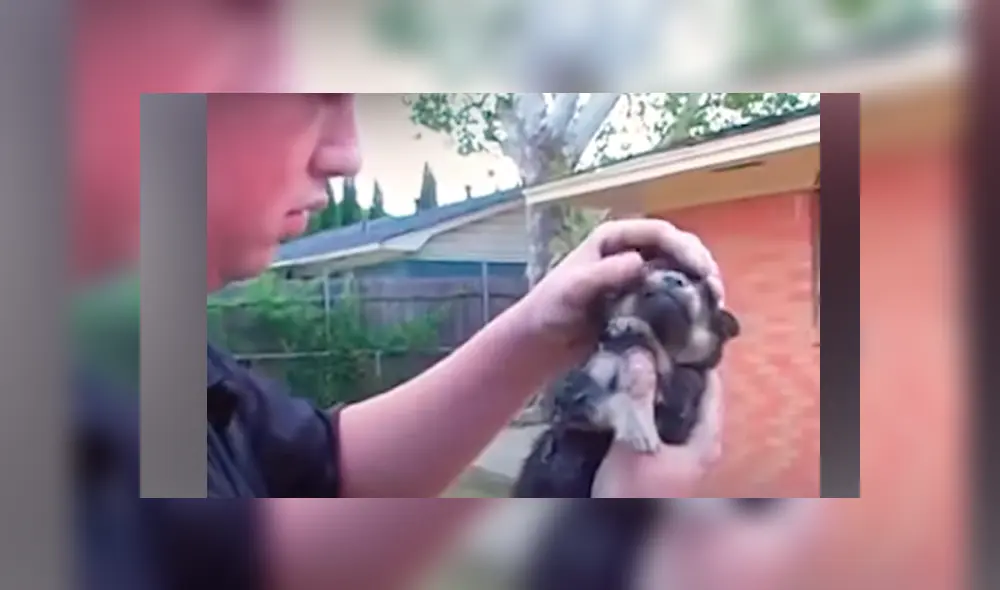 Desliza hacia la izquierda para ver el conmovedor rescate que se viralizó en Facebook.