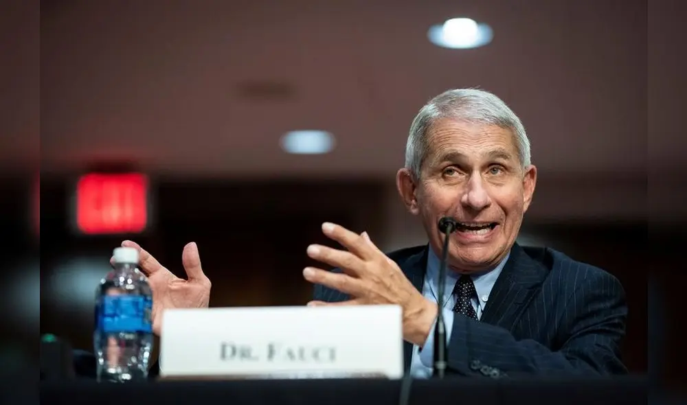 Fauci dirige el Instituto Nacional de Enfermedades Infecciosas y Alergias de EE.UU. Foto: EFE.