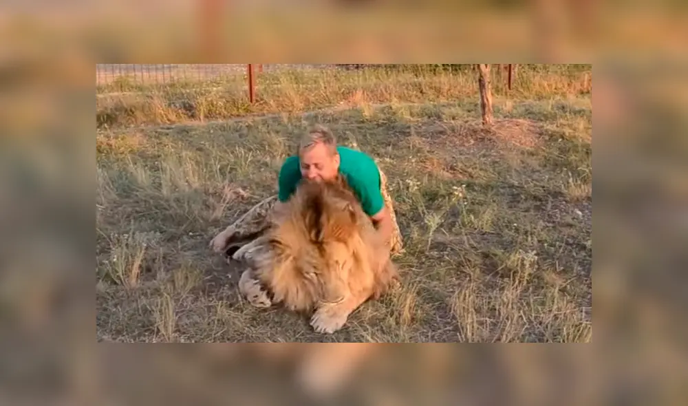 En Facebook se viralizó el encuentro de cuidador con enorme león. En Facebook se viralizó el encuentro de cuidador con enorme león.