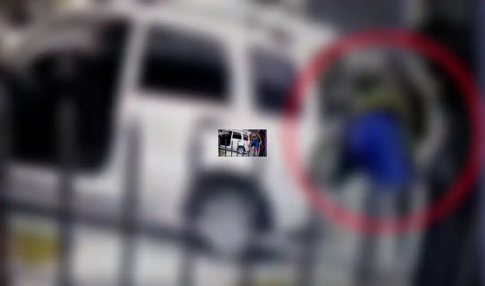 YouTube viral: Perros ven que su dueño es asaltado con pistola y lo rescatan valerosamente [VIDEO] 