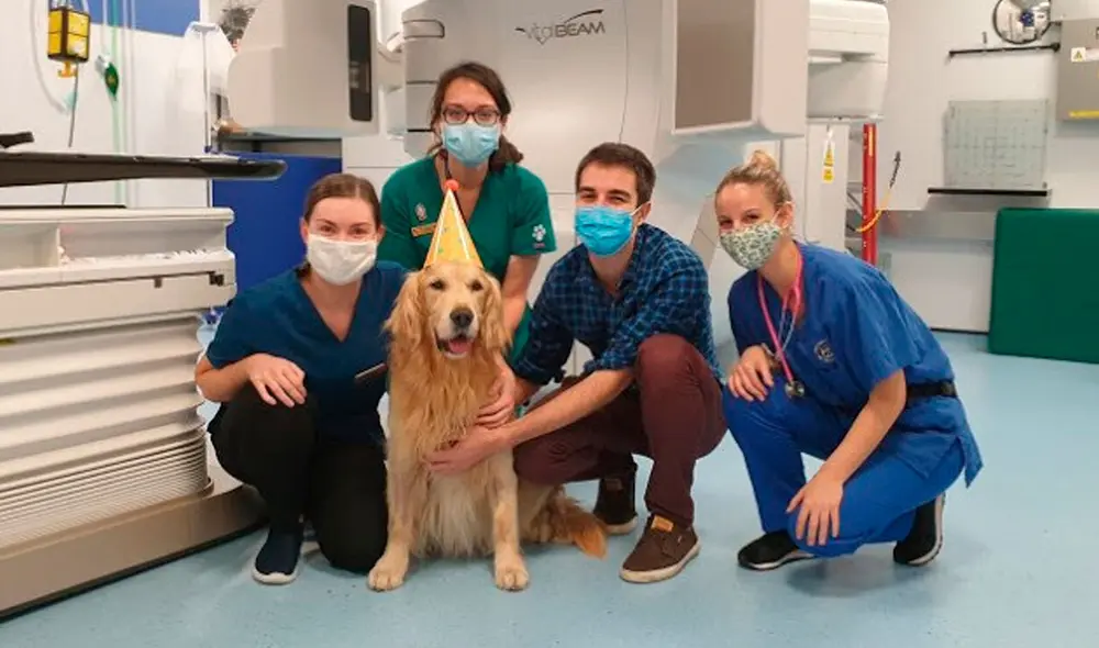 Desliza las imágenes para conocer la conmovedora historia de un perro que fue diagnosticado con tumor cerebral. Foto: YouTube Desliza las imágenes para conocer la conmovedora historia de un perro que fue diagnosticado con tumor cerebral. Foto: YouTube
