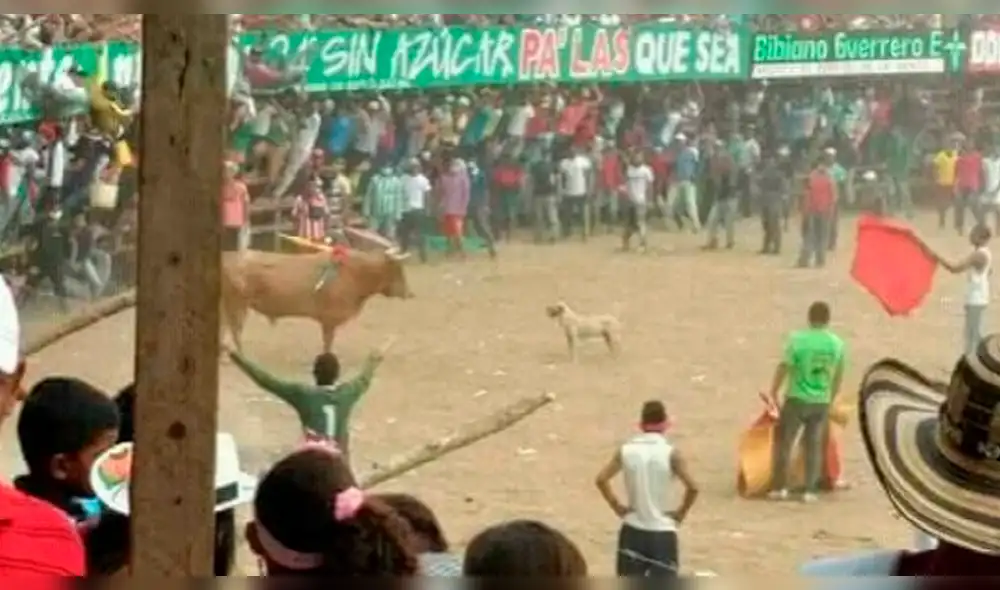 YouTube Viral: Perro pelea con toro para defender a su dueño [VIDEO]
