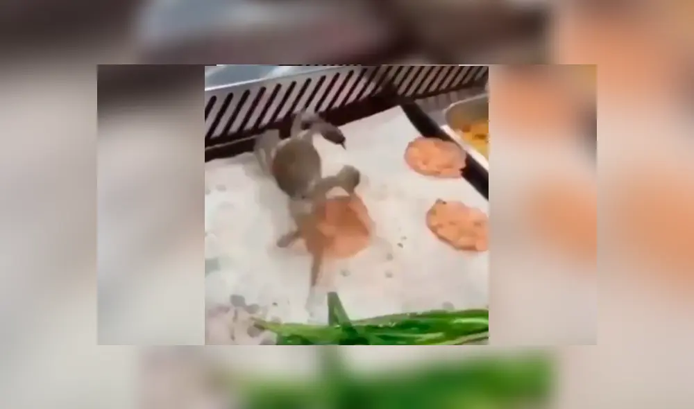 Facebook viral: cangrejo intenta escapar de cocinero y sin querer cae a la olla hirviendo Facebook viral: cangrejo intenta escapar de cocinero y sin querer cae a la olla hirviendo