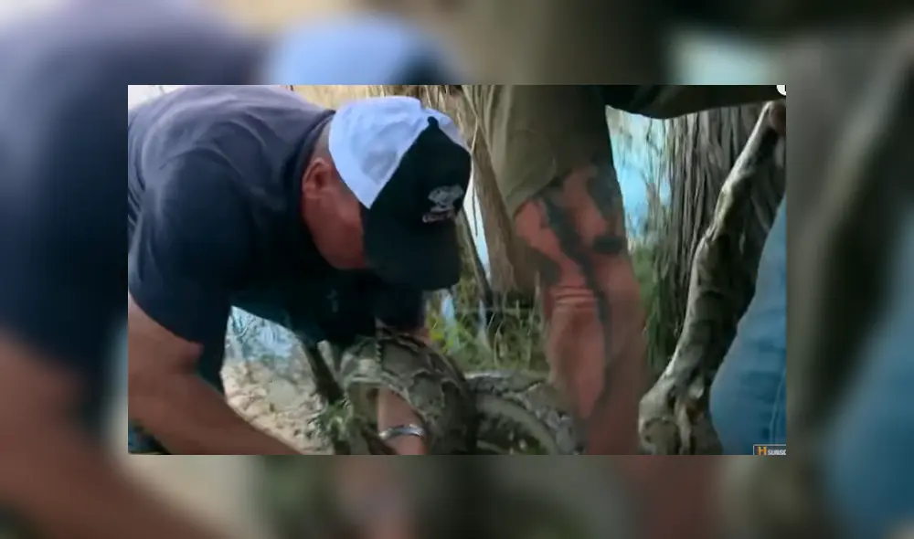 Desliza hacia la izquierda para ver el ataque de la pitón. Imágenes del video viral de Facebook.