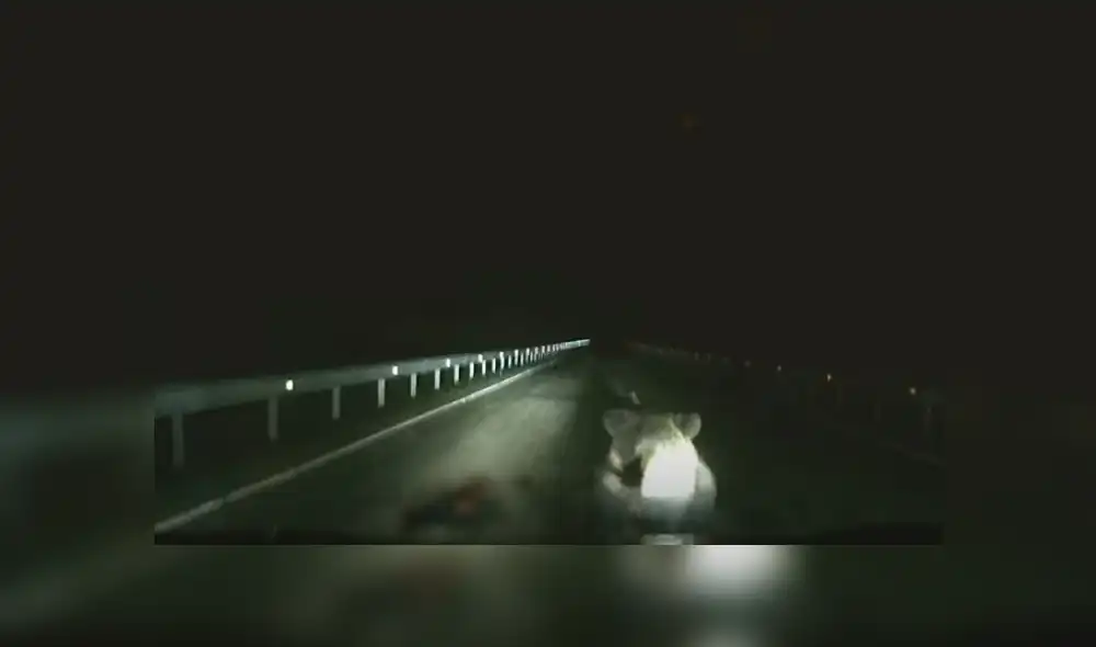 Desliza hacia la izquierda para ver más del video viral. Fotocaptura: YouTube