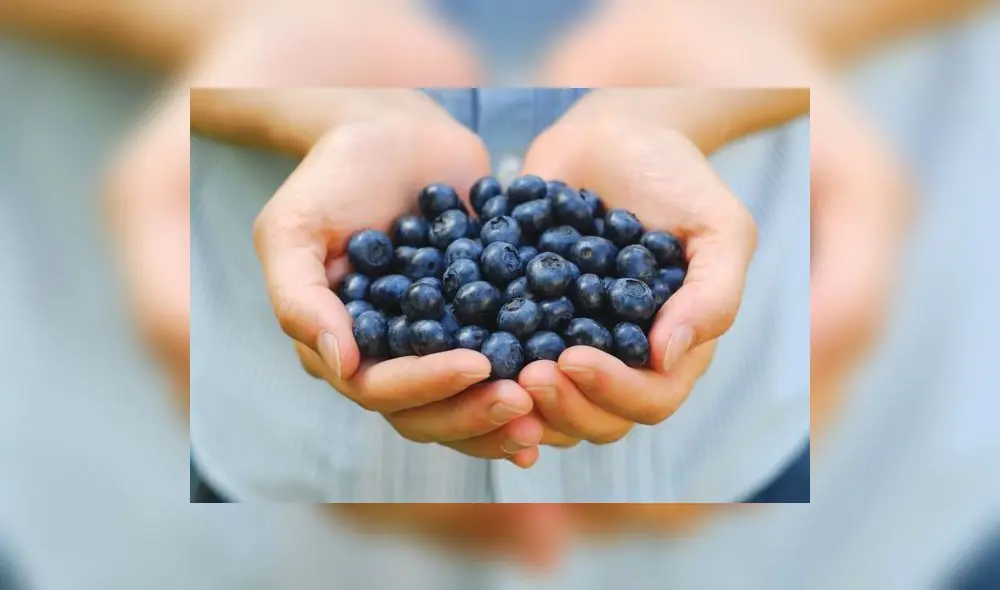 Lanzan marca "Super food Perú" para promocionar alimentos peruanos Lanzan marca "Super food Perú" para promocionar alimentos peruanos
