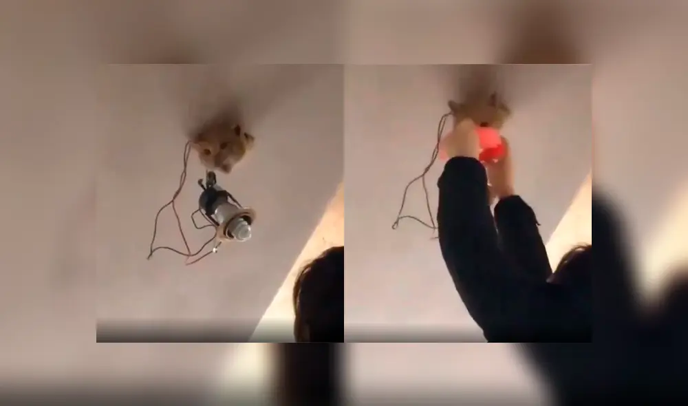 Desliza a la izquierda para ver esta particular sorpresa. Foto: Captura.