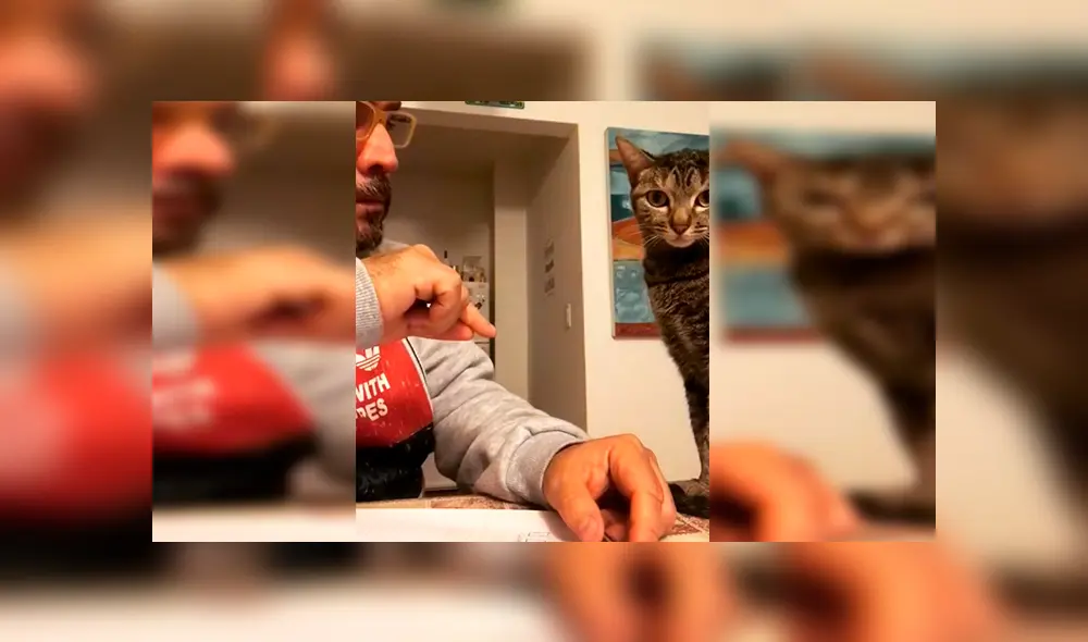 En Facebook, un señor intentó distribuir los quehaceres de la casa con su querida mascota, pero este se queda dormido. En Facebook, un señor intentó distribuir los quehaceres de la casa con su querida mascota, pero este se queda dormido.