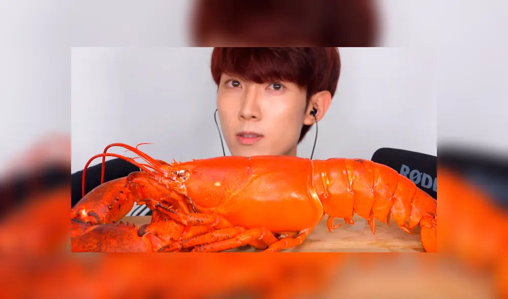 Desliza a la izquierda para ver el gigante platillo que sorprendió a los usuarios de YouTube. Desliza a la izquierda para ver el gigante platillo que sorprendió a los usuarios de YouTube.