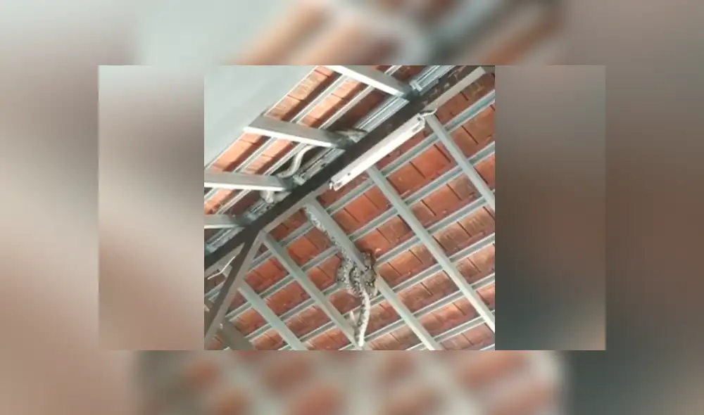 Desliza para ver los momentos más aterradores del video que se hizo viral en YouTube. Desliza para ver los momentos más aterradores del video que se hizo viral en YouTube.