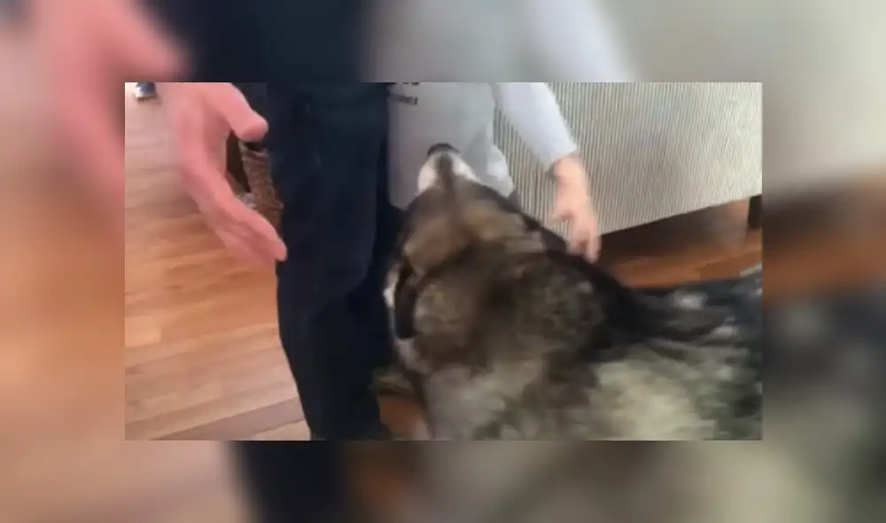 Desliza hacia la izquierda para ver más del video viral Desliza hacia la izquierda para ver más del video viral