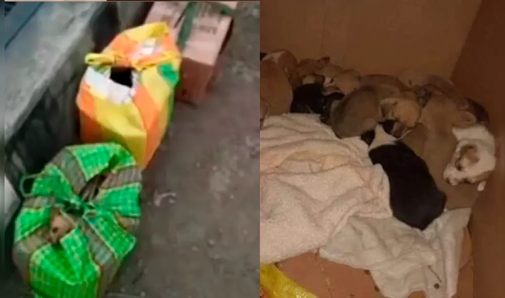 Foto: @ticnt_ / Twitter