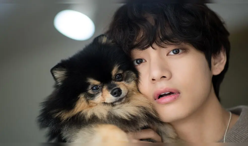 Desliza para ver más fotos de Taehyung de BTS.