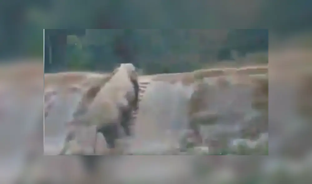 Desliza hacia la izquierda para ver más del video viral Desliza hacia la izquierda para ver más del video viral