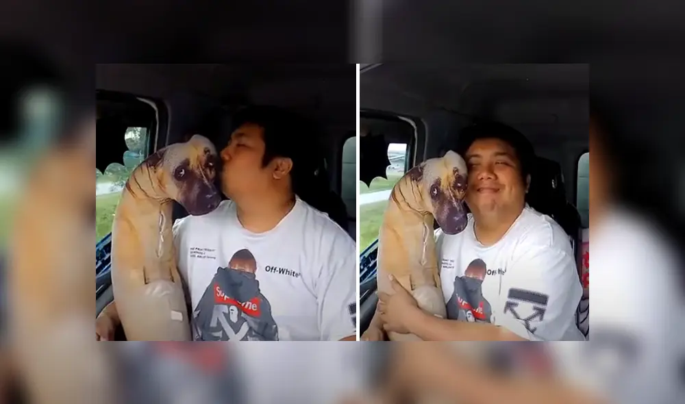 Desliza hacia la izquierda para ver las imágenes del viral de Facebook. Foto: Captura.