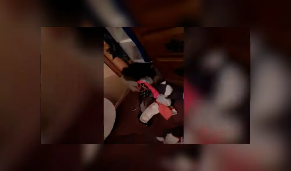 Desliza las imágenes hacia la izquierda para conocer la travesura que cometió un gato durante la distracción de su dueño.