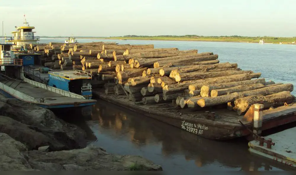 Tras la evaluación se determinó la existencia de 901.827 m3 de madera sin sustento alguno. Tras la evaluación se determinó la existencia de 901.827 m3 de madera sin sustento alguno.
