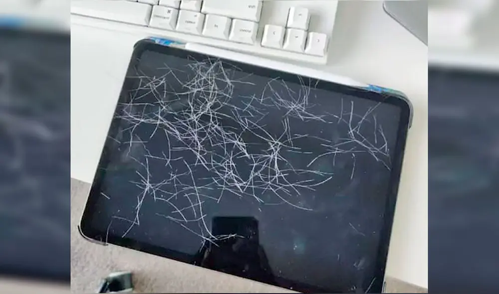 Desliza las imágenes hacia la izquierda para descubrir la travesura de un gato tras quedarse solo en casa. Foto: Douyin / xiaoaierniu Desliza las imágenes hacia la izquierda para descubrir la travesura de un gato tras quedarse solo en casa. Foto: Douyin / xiaoaierniu