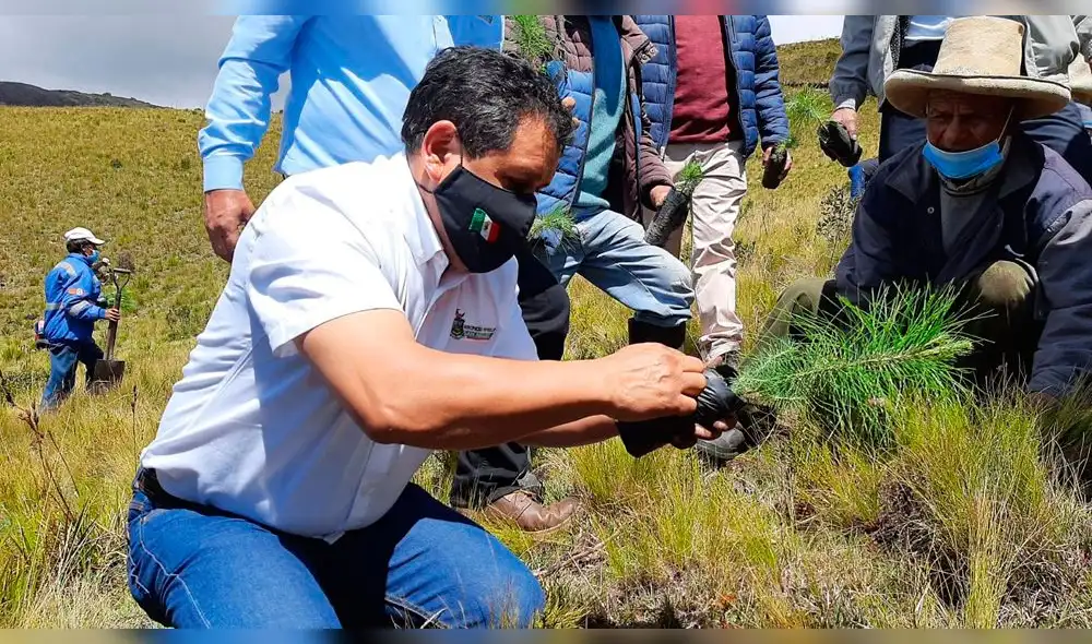 Campaña de reforestación en San Miguel Cajamarca