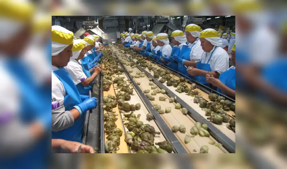 Existen 145 oportunidades de negocios en Singapur para el empresario