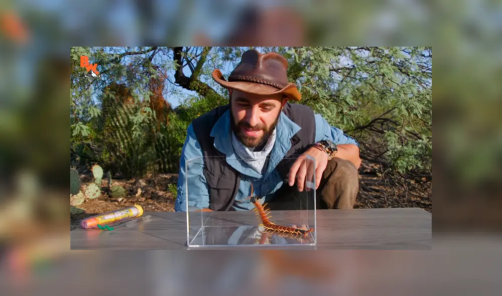Un video muestra al popular 'Coyote' Peterson siendo brutalmente mordido por un enorme ciempiés. Un video muestra al popular 'Coyote' Peterson siendo brutalmente mordido por un enorme ciempiés.
