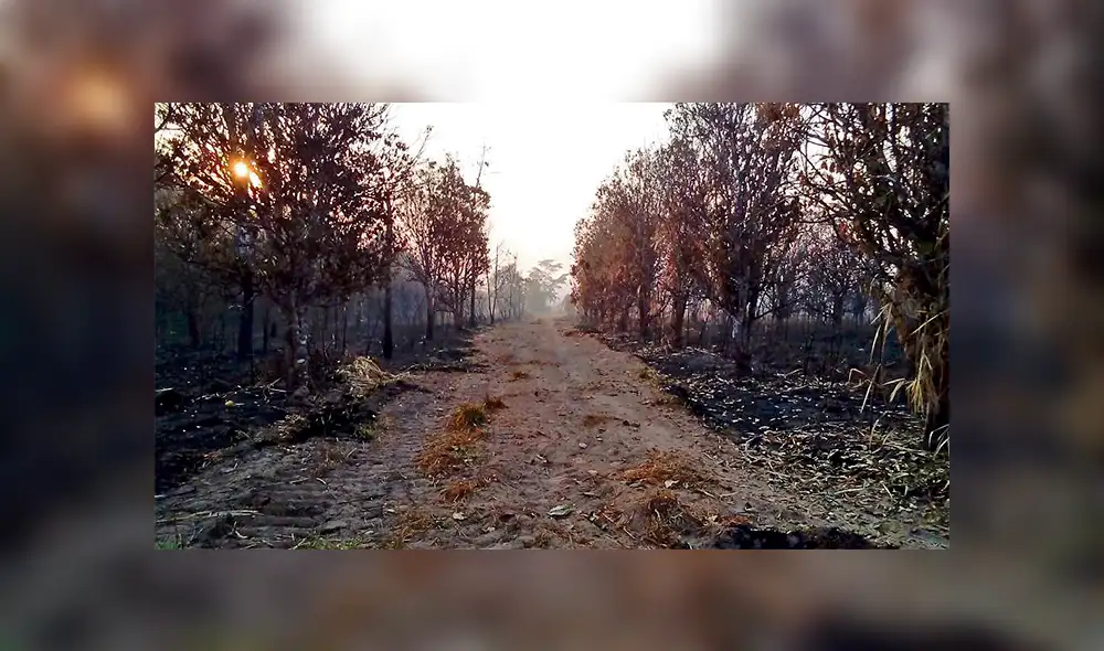 Preocupación. Alcalde de Iñapari espera que las acciones no se detengan en el distrito.