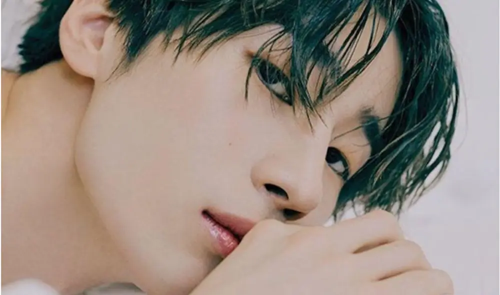 Han Seung Woo, VICTON, X1 Han Seung Woo, VICTON, X1