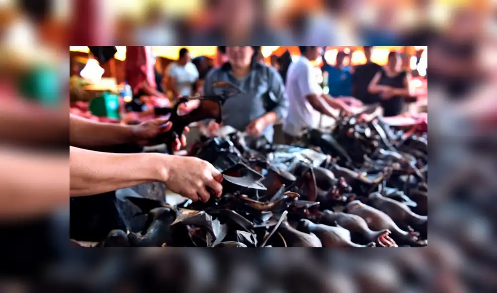 Los mercados de China venden murciélagos luego del levantamiento de la cuarentena por el coronavirus. Foto: AFP Los mercados de China venden murciélagos luego del levantamiento de la cuarentena por el coronavirus. Foto: AFP
