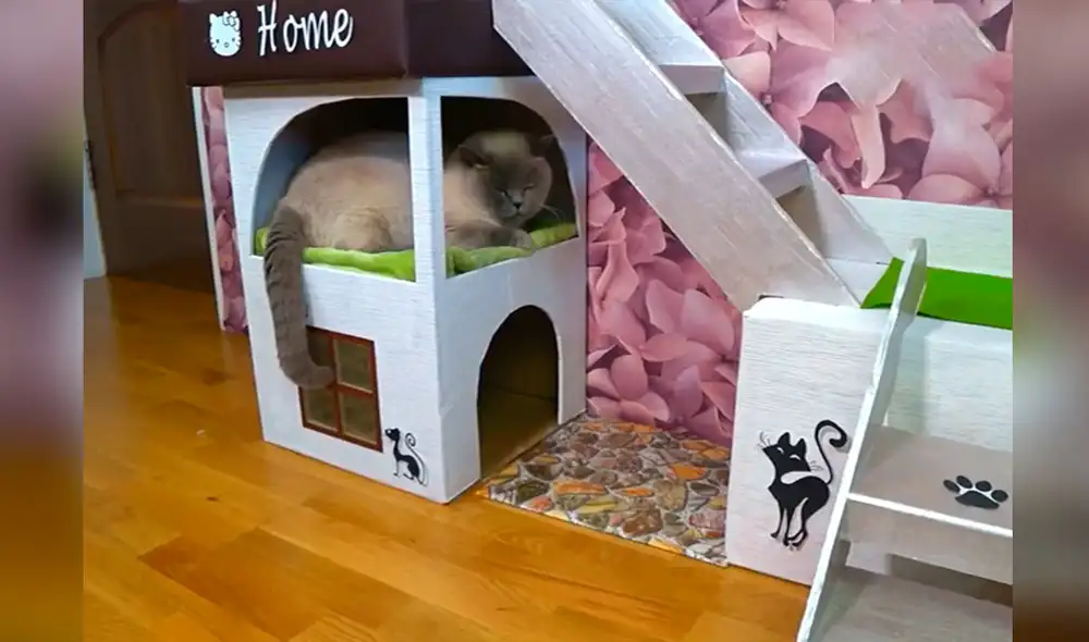 Desliza las imágenes para observar el trabajo de una joven para armar una casa propia para su gato. Foto: captura de YouTube