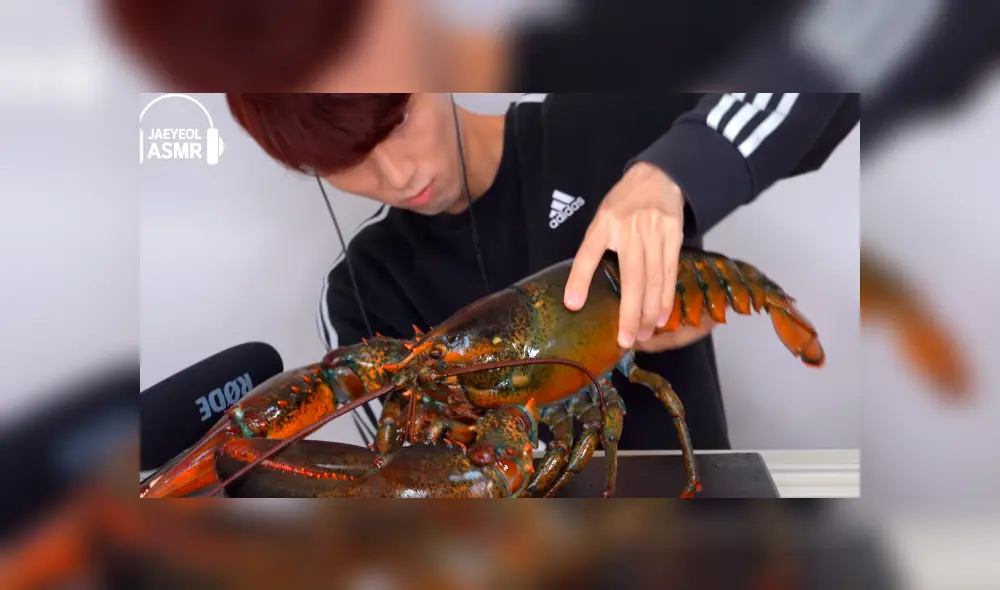 Desliza a la izquierda para ver el gigante platillo que sorprendió a los usuarios de YouTube. Desliza a la izquierda para ver el gigante platillo que sorprendió a los usuarios de YouTube.