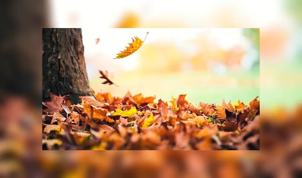 Equinoccio de otoño: ¿qué es y por qué este año comienza un día antes de lo habitual? Equinoccio de otoño: ¿qué es y por qué este año comienza un día antes de lo habitual?