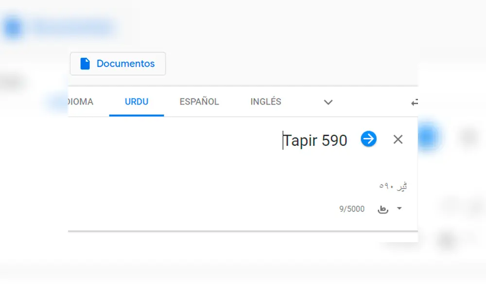 Google Translate: 'Tapir 590' es la nueva victima del traductor por los resultados que dejaron en shock a miles [FOTOS]