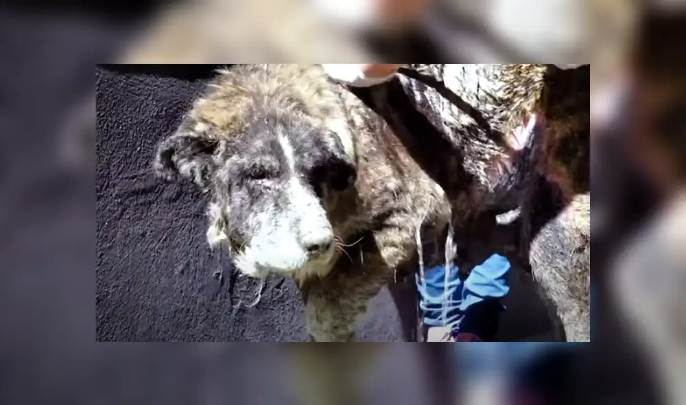 Desliza hacia la izquierda para ver las imágenes del viral de Facebook.