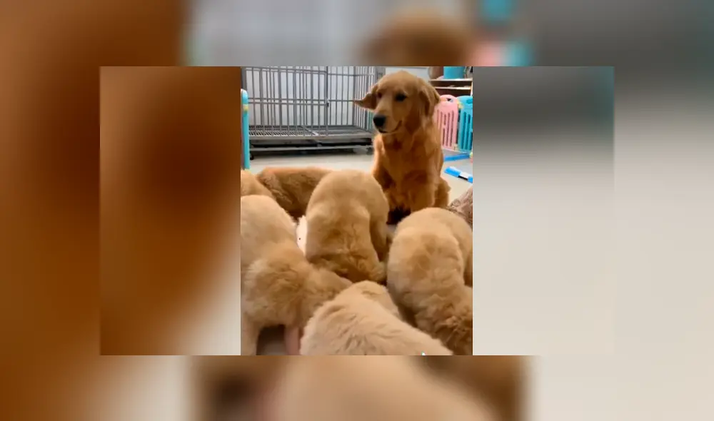 Desliza para ver todas las fotos de Facebook. Foto: captura