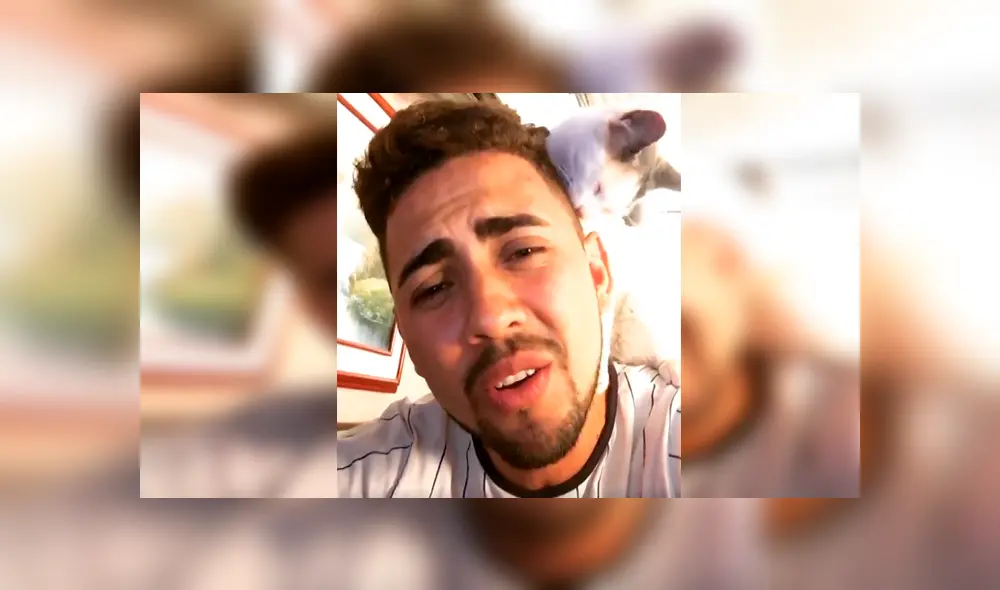 En Facebook, un gato se subió encima de su dueño cuando lo escuchó interpretar una popular canción. En Facebook, un gato se subió encima de su dueño cuando lo escuchó interpretar una popular canción.