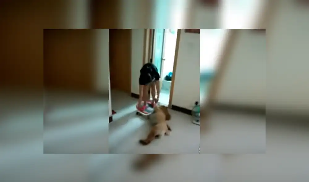 Video es viral en Facebook. Este perro ‘actor’ odia que lo bañen y cuando su dueña le dijo que ya le tocaba asearse no tuvo mejor idea que fingir su propia muerte. Foto: Captura. Video es viral en Facebook. Este perro ‘actor’ odia que lo bañen y cuando su dueña le dijo que ya le tocaba asearse no tuvo mejor idea que fingir su propia muerte. Foto: Captura.
