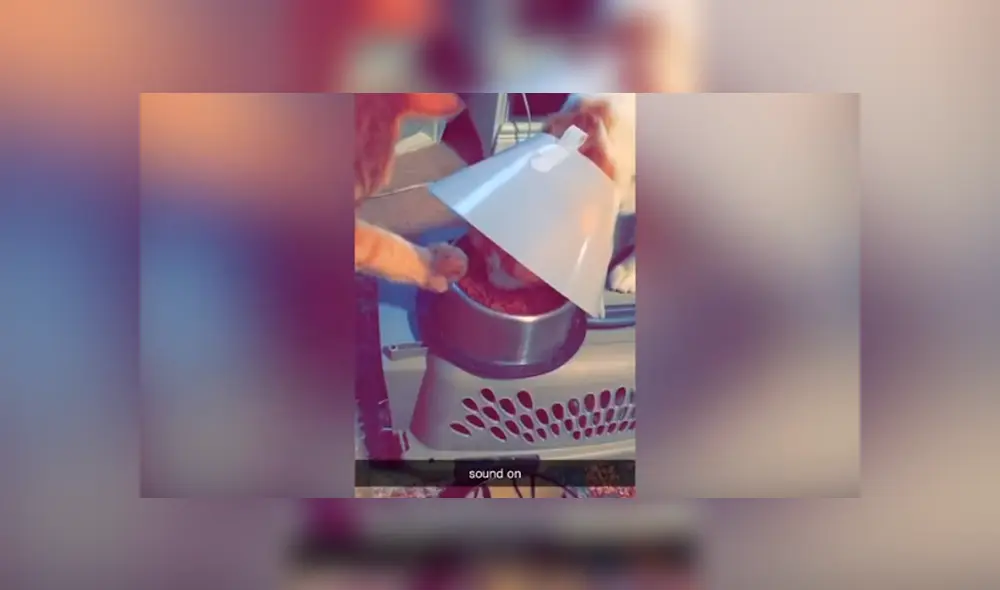 Desliza las imágenes hacia la izquierda para apreciar la tierna acción de un gato para ayudar a su ‘mejor amigo’.