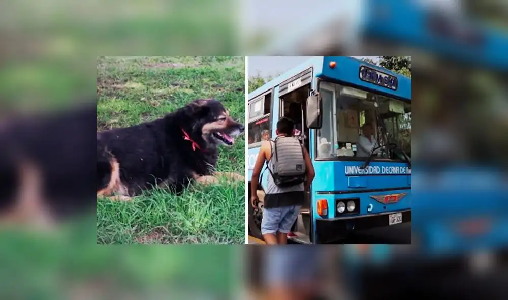 Facebook: 10 cosas que todo estudiante o egresado de San Marcos reconoce