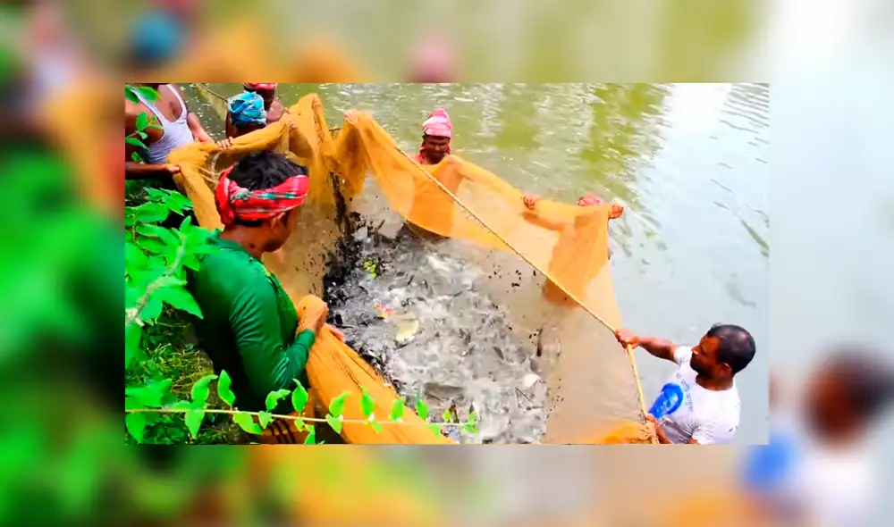 YouTube viral: arrojan enorme red en profundo lago y miles de misteriosas criaturas emergen YouTube viral: arrojan enorme red en profundo lago y miles de misteriosas criaturas emergen