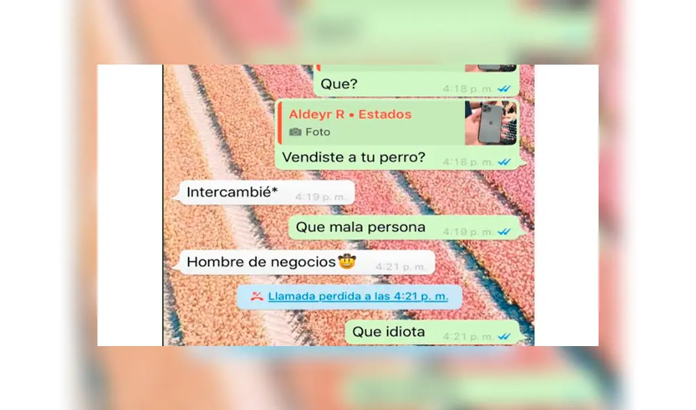 Joven es criticado por intercambiar a su mascota para conseguir un iPhone 11 [FOTOS]