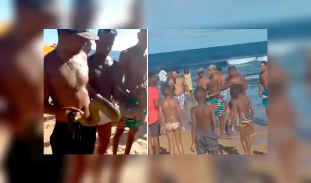 Desliza hacia la izquierda para ver a la enorme anaconda que se hizo viral en YouTube. Desliza hacia la izquierda para ver a la enorme anaconda que se hizo viral en YouTube.