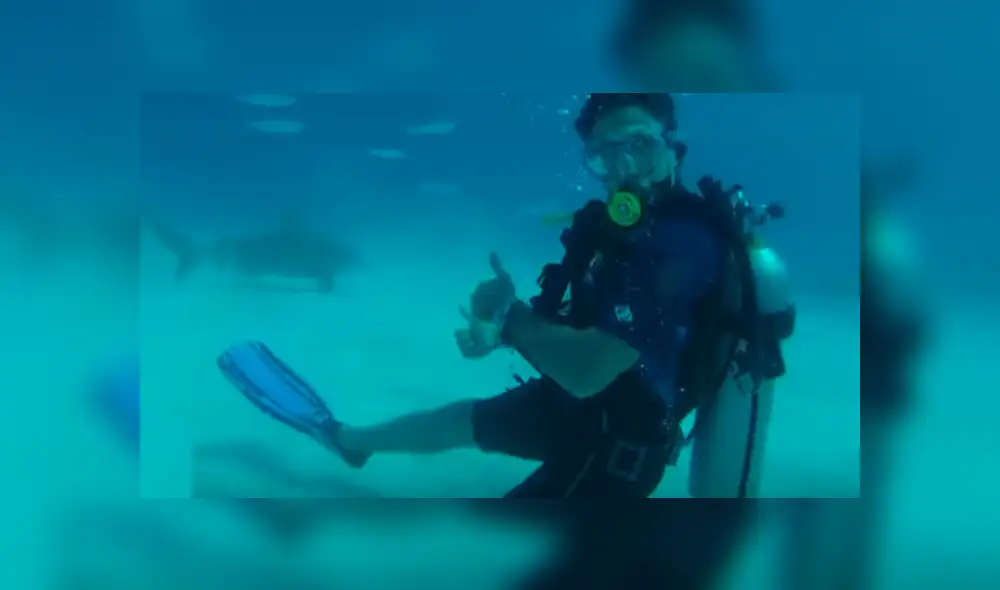 Tiburones acechan a un grupo de turistas cuando estaban buceando en Playa del Carmen [VIDEO]