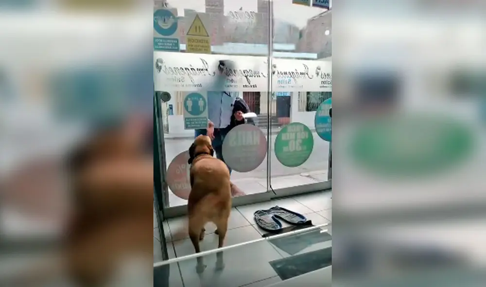 Desliza las imágenes hacia la izquierda para apreciar la emoción de un perro cuando volvió a ver a su dueño. Foto: Captura de Facebook Desliza las imágenes hacia la izquierda para apreciar la emoción de un perro cuando volvió a ver a su dueño. Foto: Captura de Facebook