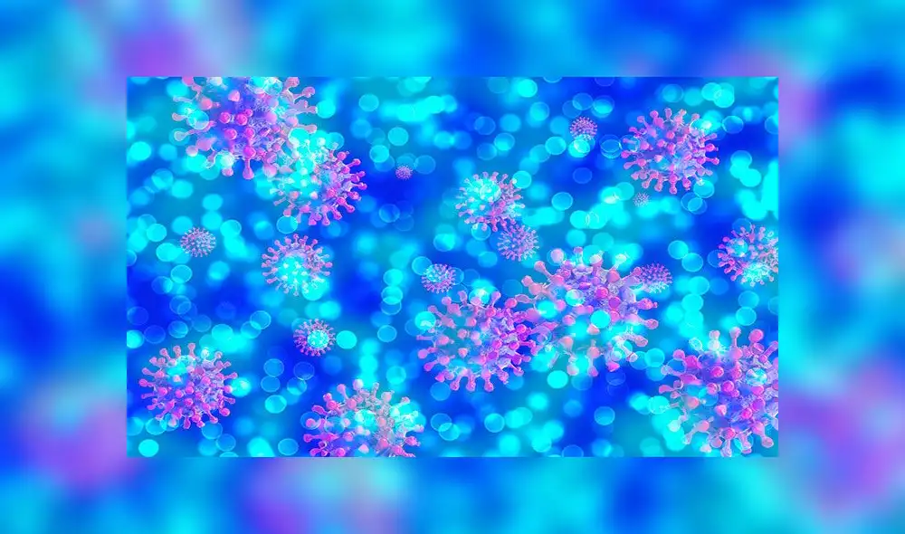 La proteína neuropilina-1 se expresa con mucha fluidez en el epitelio respiratorio y olfativo, arguyeron los especialistas. Foto: Pixabay La proteína neuropilina-1 se expresa con mucha fluidez en el epitelio respiratorio y olfativo, arguyeron los especialistas. Foto: Pixabay