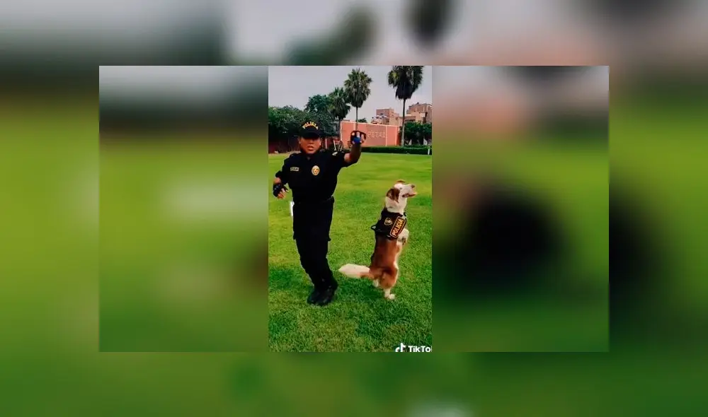 Desliza las imágenes para ver la divertida coreografía que hizo un perro policía con un oficial peruano. Foto: @policiaperu Desliza las imágenes para ver la divertida coreografía que hizo un perro policía con un oficial peruano. Foto: @policiaperu