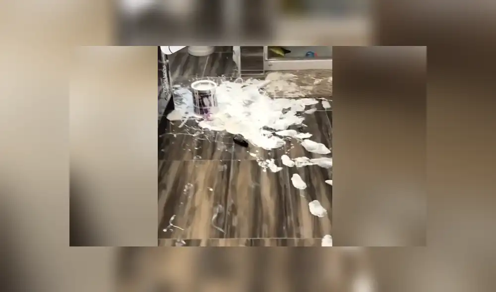 Mediante Facebook se hizo viral el momento en que unos padres descubren la travesura de su hija.